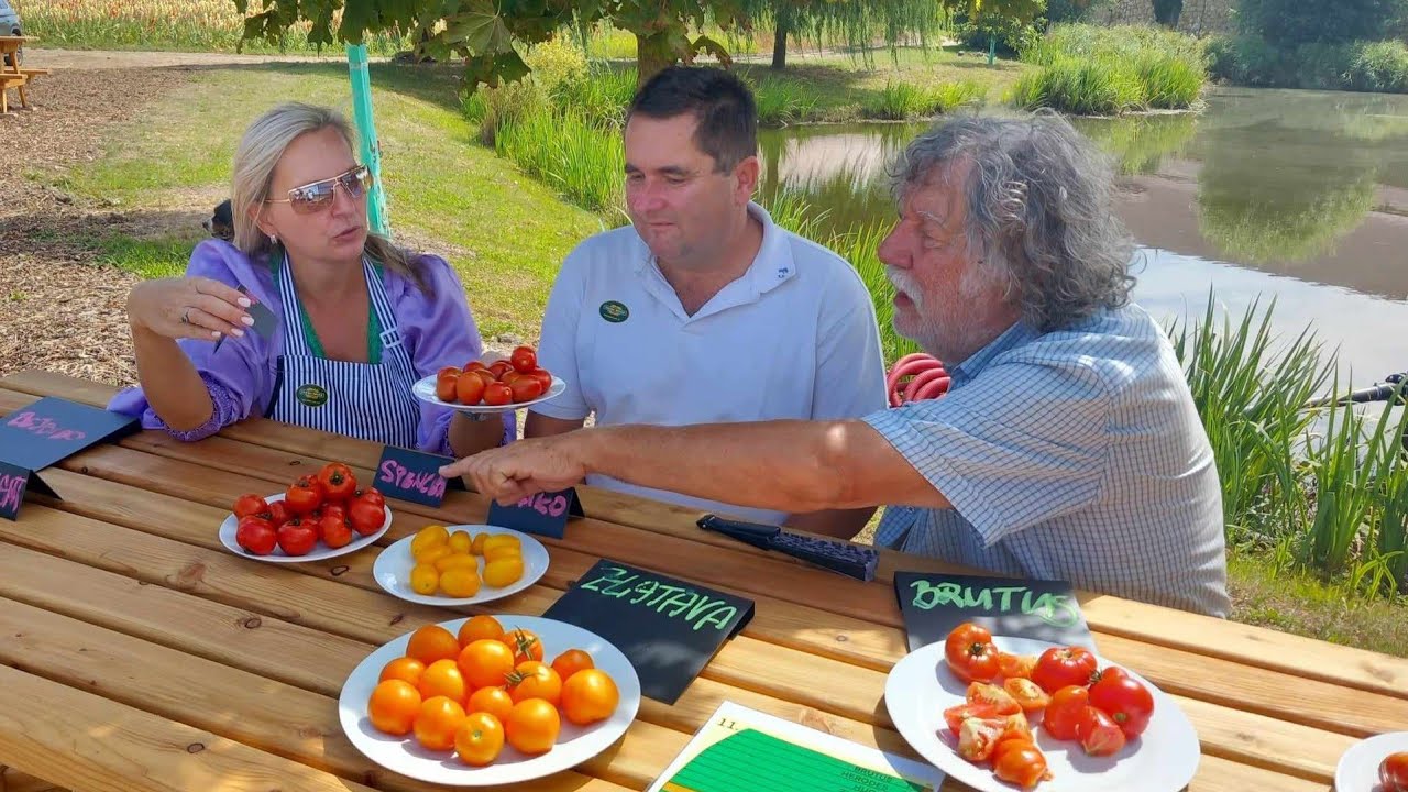 Nebe v hubě, řekl Zdeněk Troška při ochutnání rajčat v Osluchově u Slaného na farmě Dryák