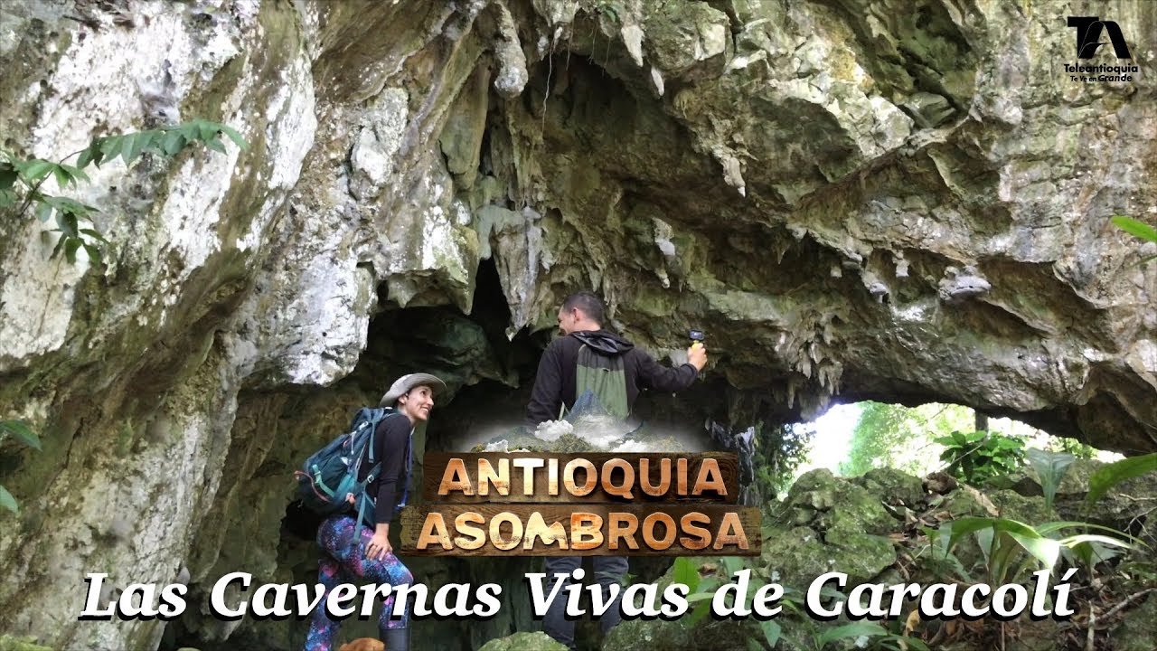 Antioquia Asombrosa, Las Cavernas Vivas de Caracolí - Teleantioquia