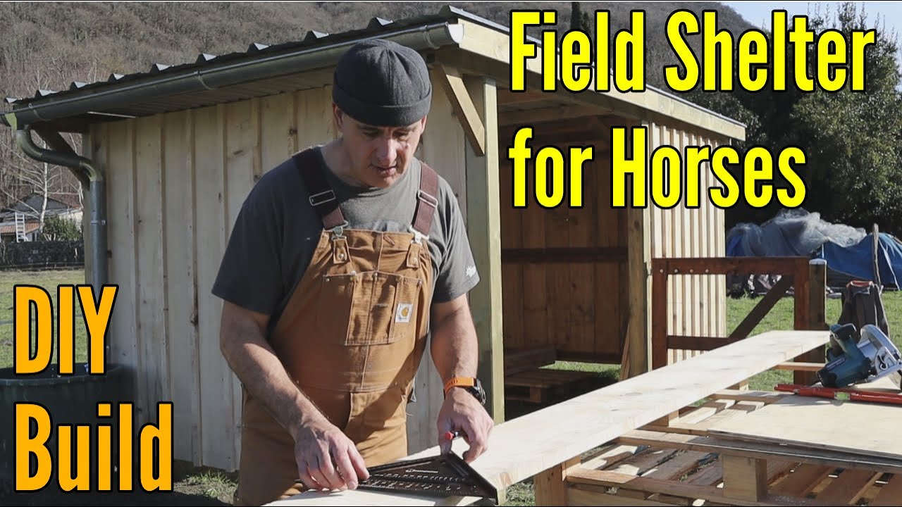 Field shelter for Horses | DIY Build