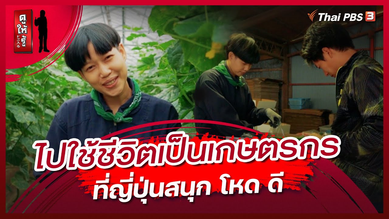 ไปใช้ชีวิตเป็นเกษตรกรที่ญี่ปุ่นสนุก โหด ดี | ดูให้รู้ Dohiru