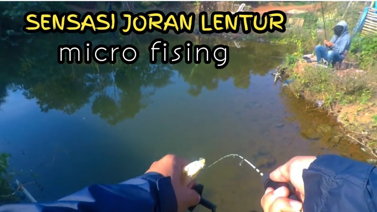 Enaknya mancing pake joran lentur||sensasinya berasa #microcasting #microfishing