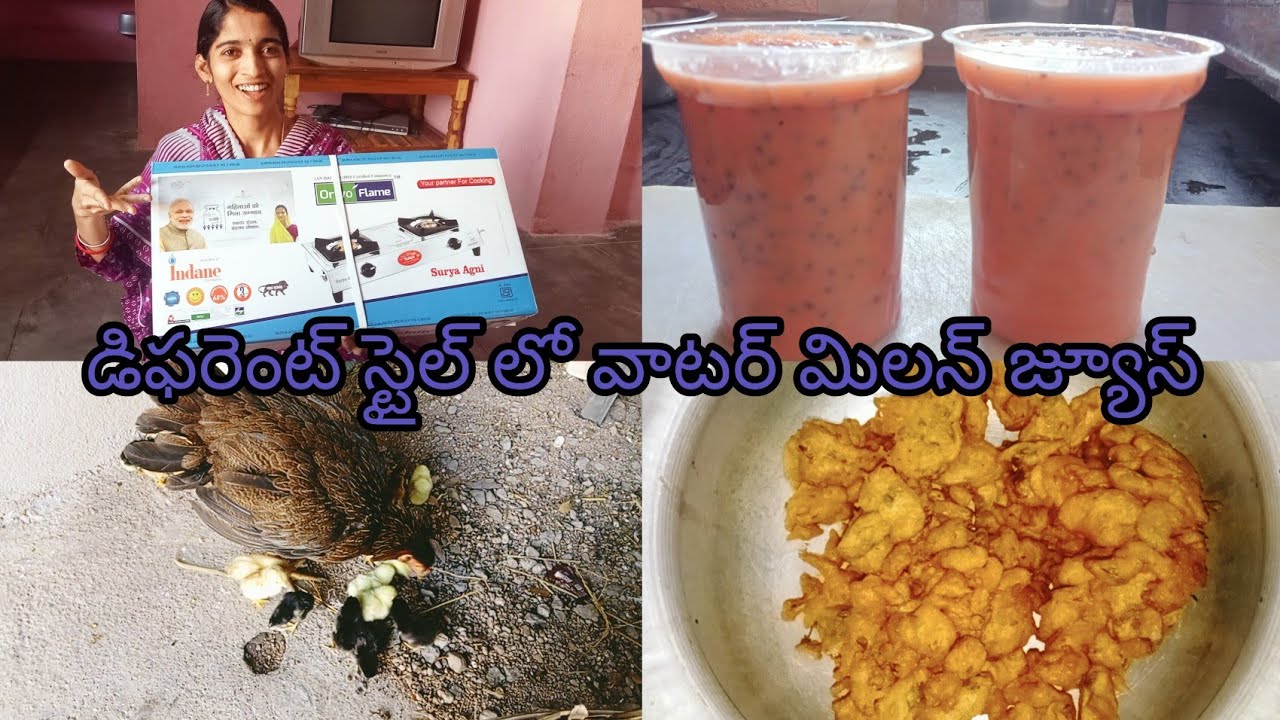 ఫ్రీగా గ్యాస్ సిలిండర్ స్టవ్ ఇచ్చారు//వేసవిలో డిఫరెంట్ స్టైల్లో వాటర్ 🍉మిలన్ జ్యూస్ తాగండి  చల్లగా//