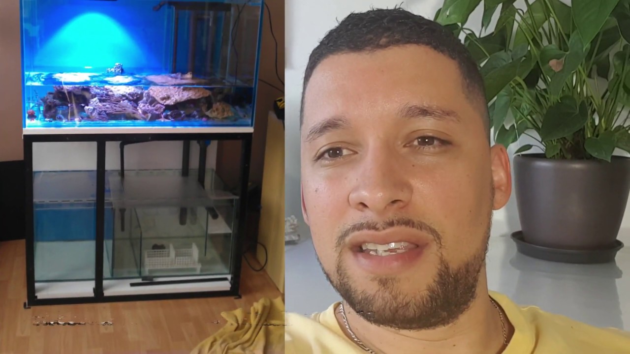 TOUS MES AQUAS! 10 ANS D'AQUARIOPHILIE RÉCIFALE EN 10 MIN !!!!