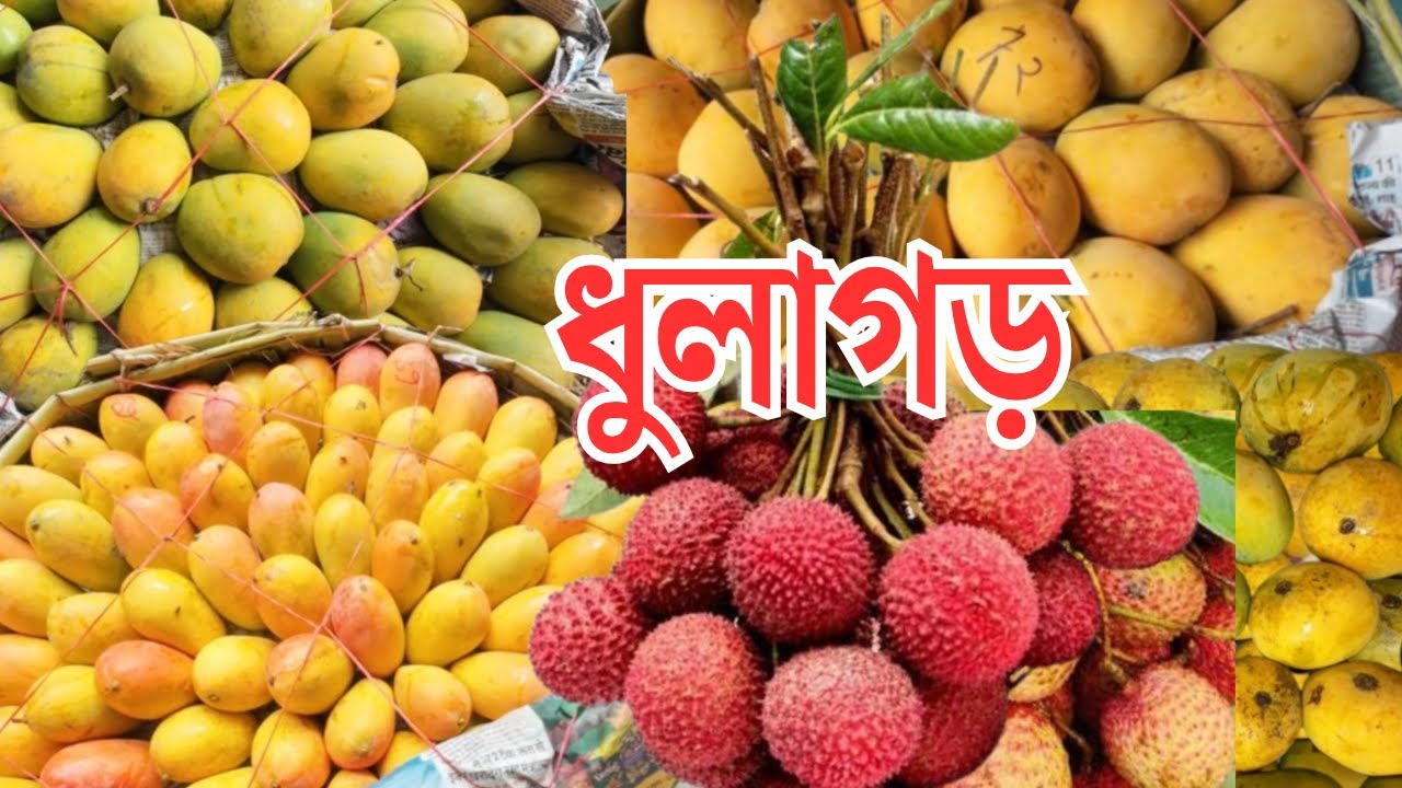 ধুলাগড় আমের পাইকারি বাজার। Wholesale Fruit Market Kolkata | Dhulagarh Mango Market | Mechhua |