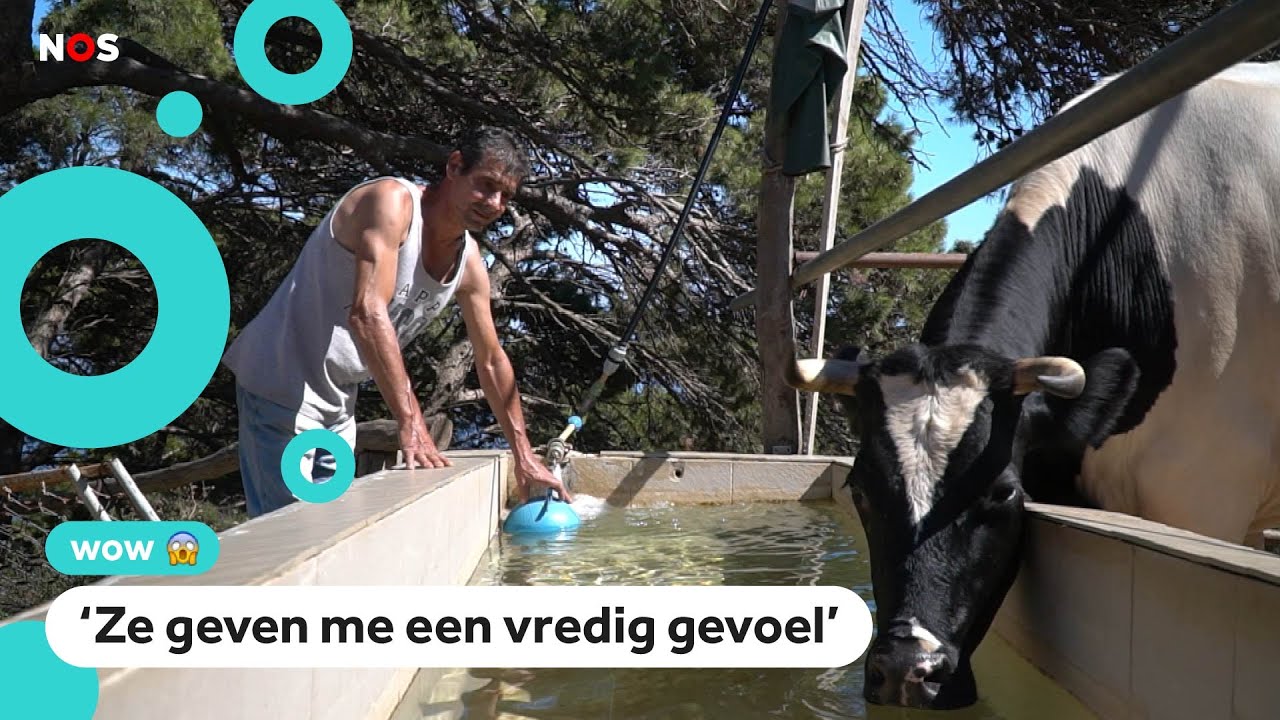 Criminelen verzorgen dieren op gevangeniseiland