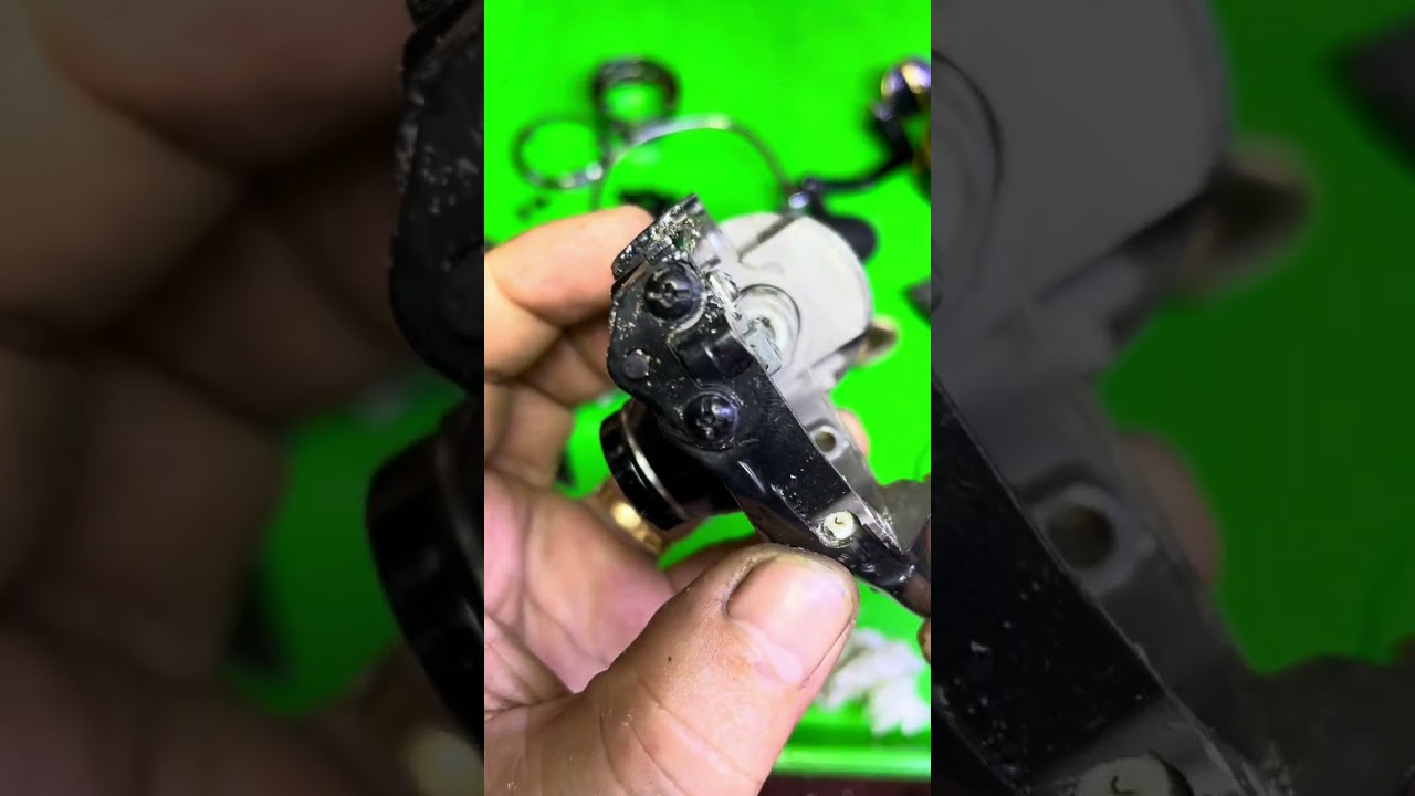 Shimano Stella 10.000PG - Model 2019 