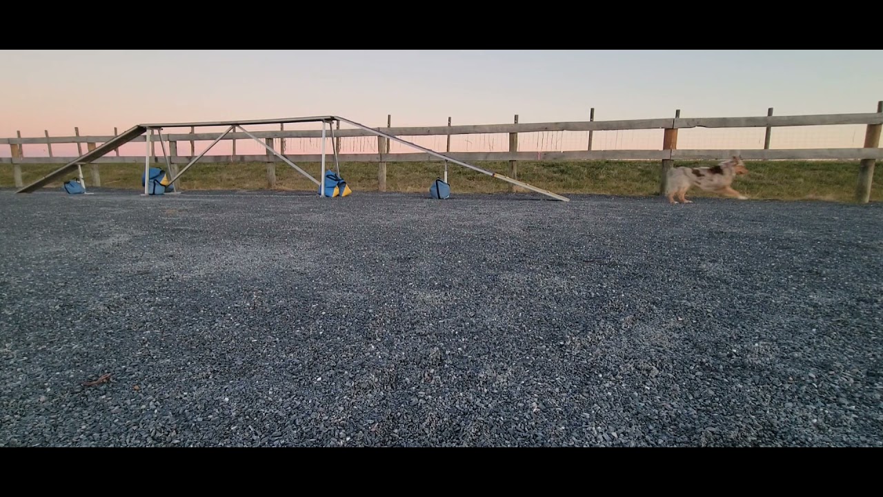 Cherry's running DW skills