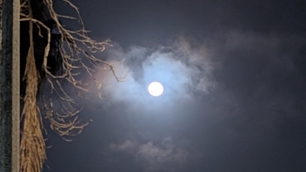 Travel Day 🌕🚙🧳