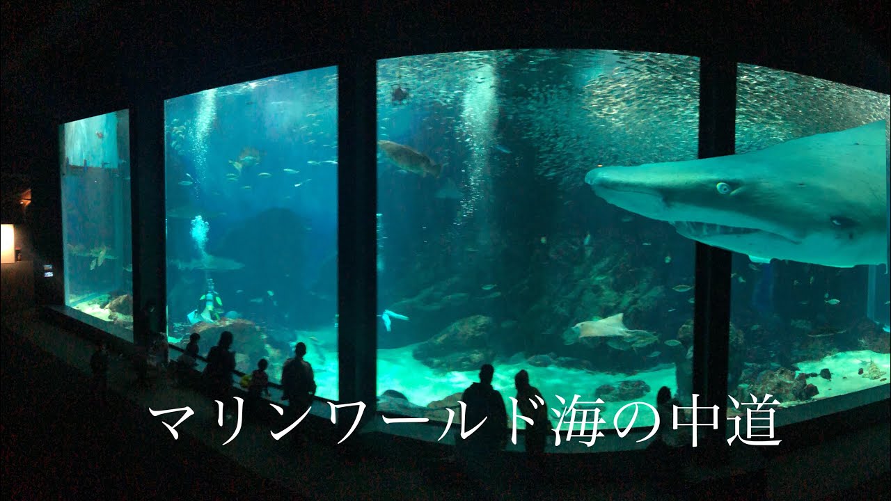 【水族館巡り】マリンワールド海の中道/Marine World Uminonakamichi