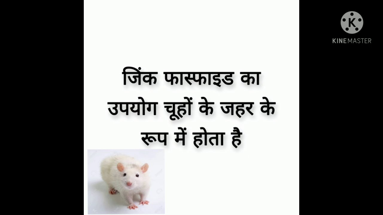 zinc phosphate ka use poshion of rats unknow facttechz Monu Singh Choudhary unknow facttechz Monu
