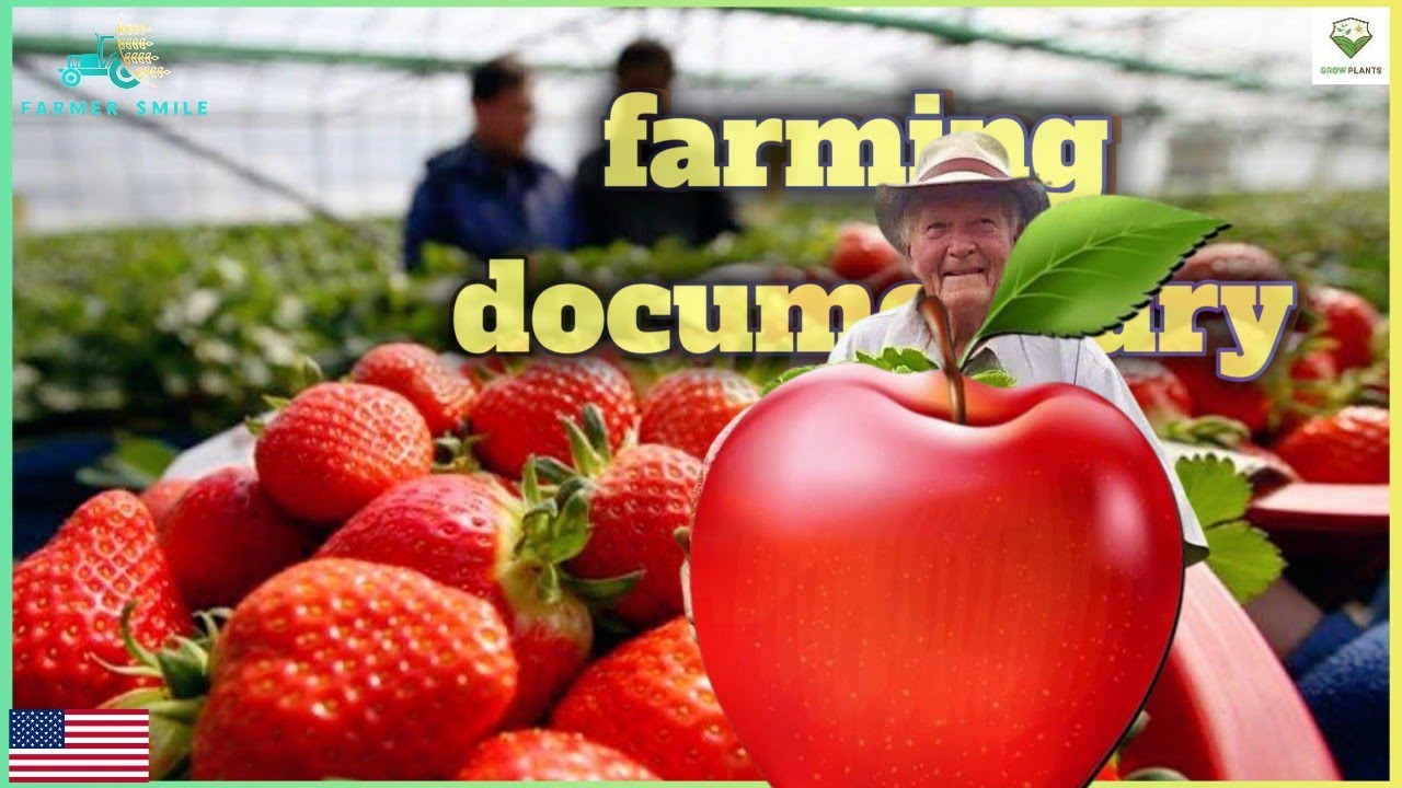 Harvesting Apples and How to Cultivate Millions of Apples, Apple Factory Production Line #growplants