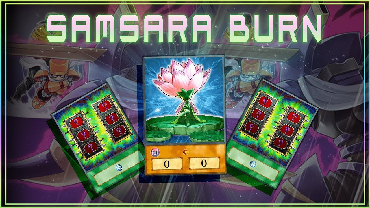 Samsara Lotus Burn | September Memes [ Yu-Gi-Oh! Duel Links ]