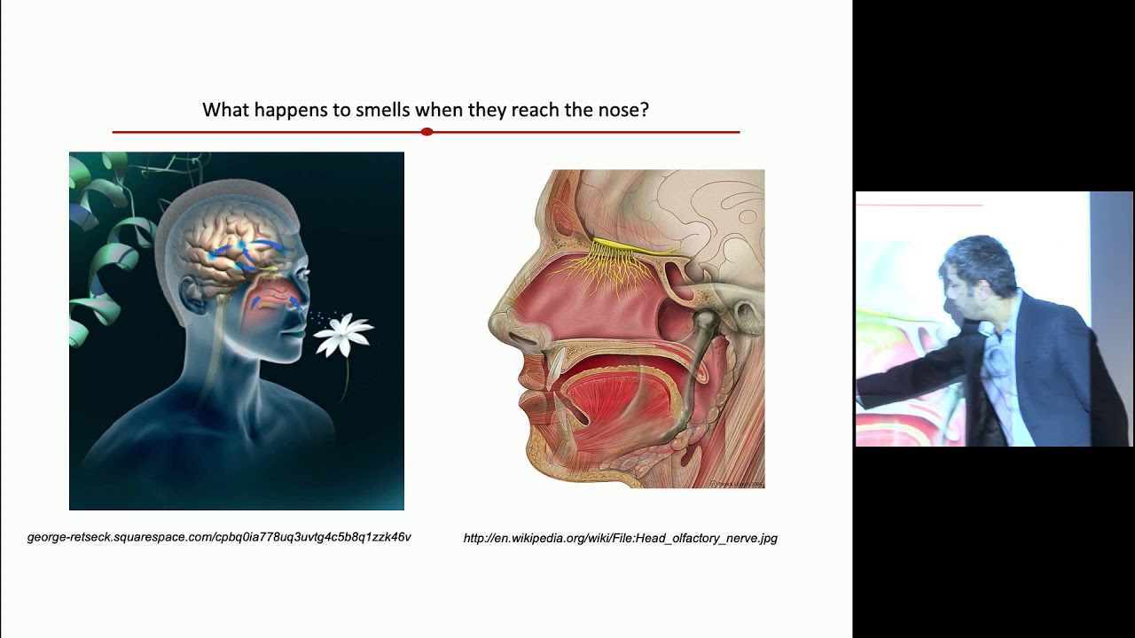 Olfaction in Science and Society