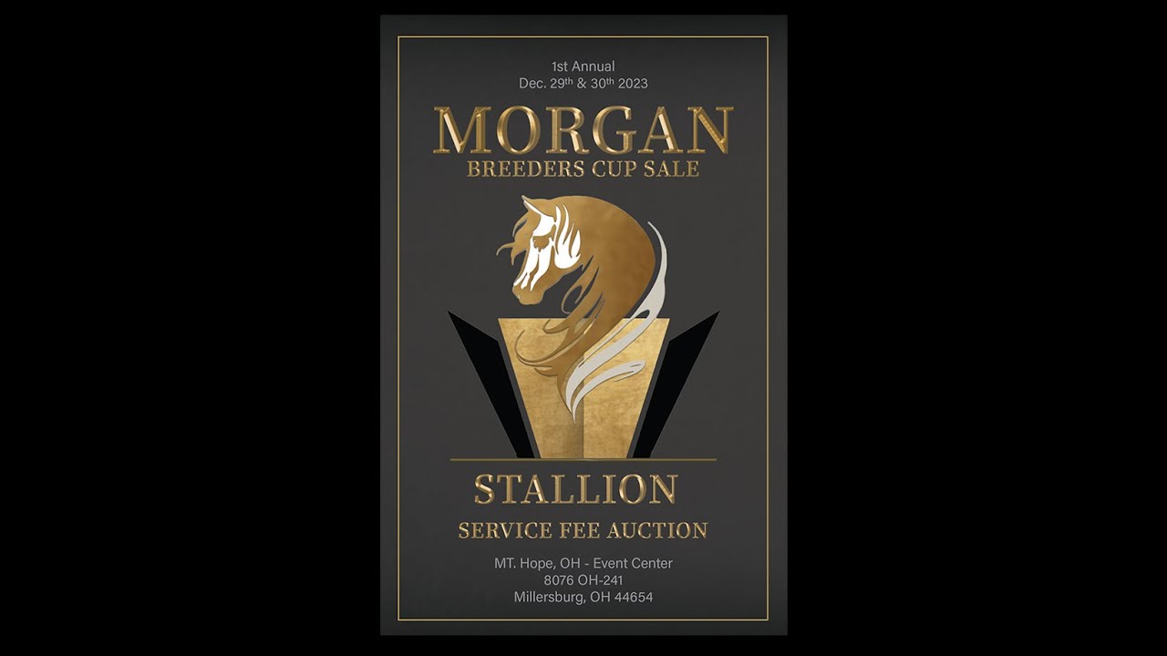 2023 Morgan Breeders Cup Highlights