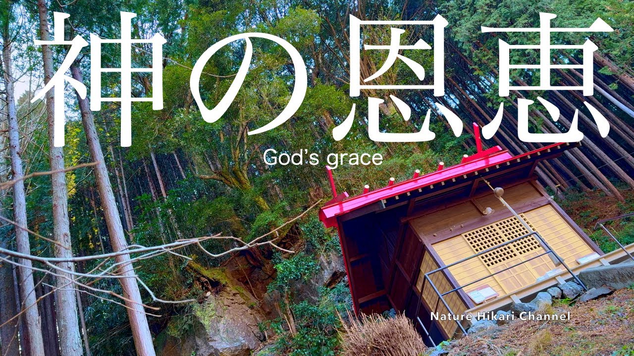 【日本の美しい自然】【冬】神社、川、木々