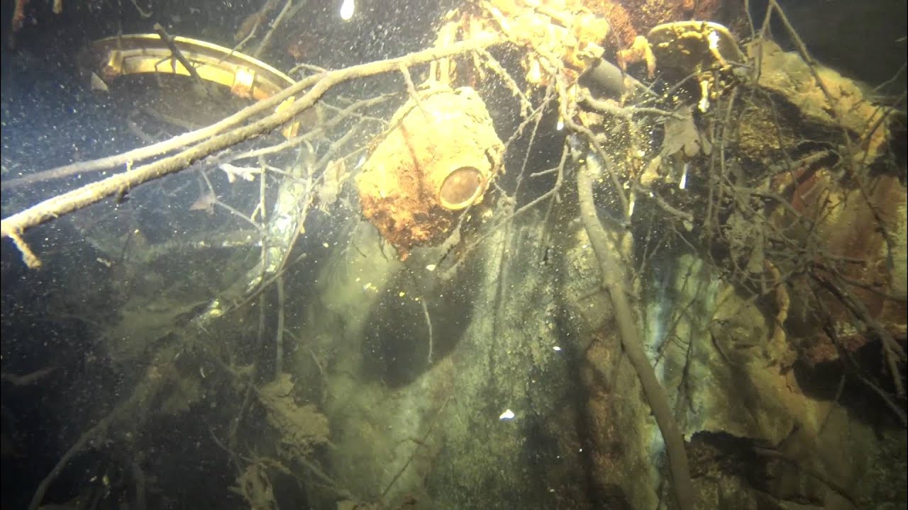 Nur/Diving/Tauchen Sparmann 12.12.2015