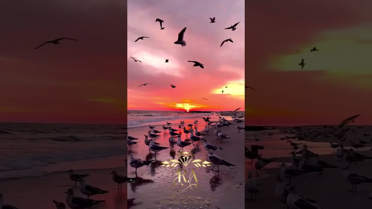 Физ. лицо или Живой БогоЧеловек#переход_в_сознание_богочеловека 