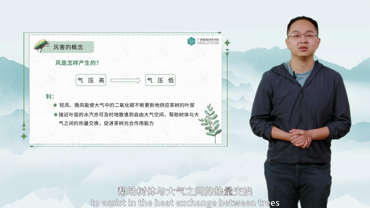 38. Meteorological disasters and protection of tea garden 4 (Wind and Hail Damage)