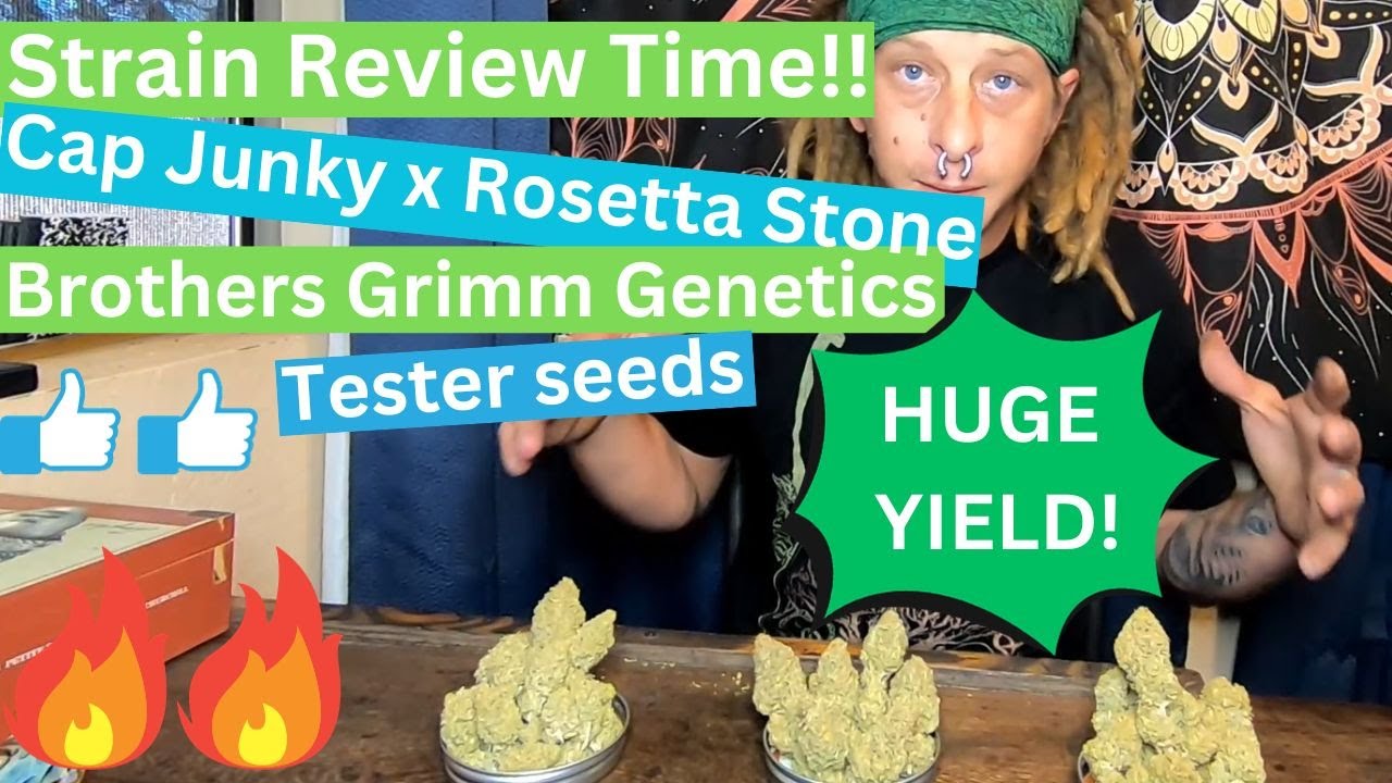 REVIEW! Cap junky x Rosetta stone by Brothers Grimm