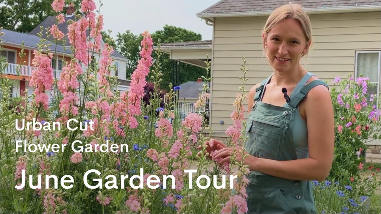 June Garden Tour | Our urban cut flower garden spring tour