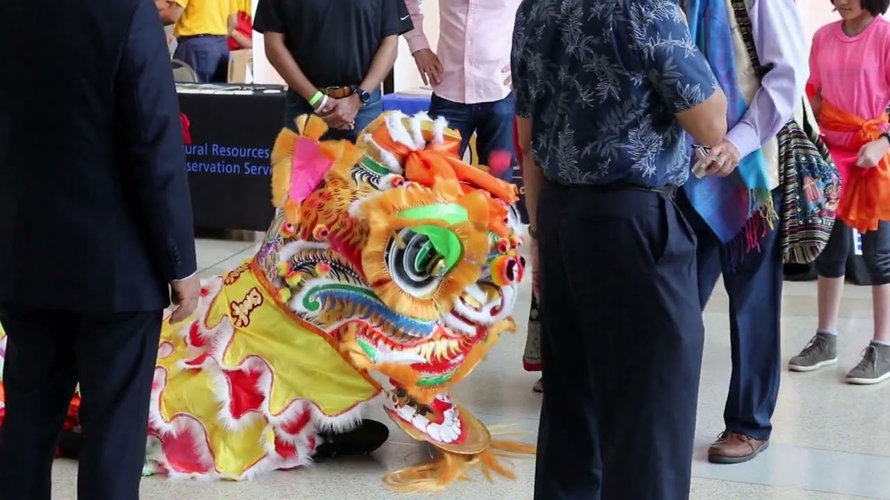 Taproot-2 INDOOR : Chinese-American Lion Dance Blessing of Asian Festival
