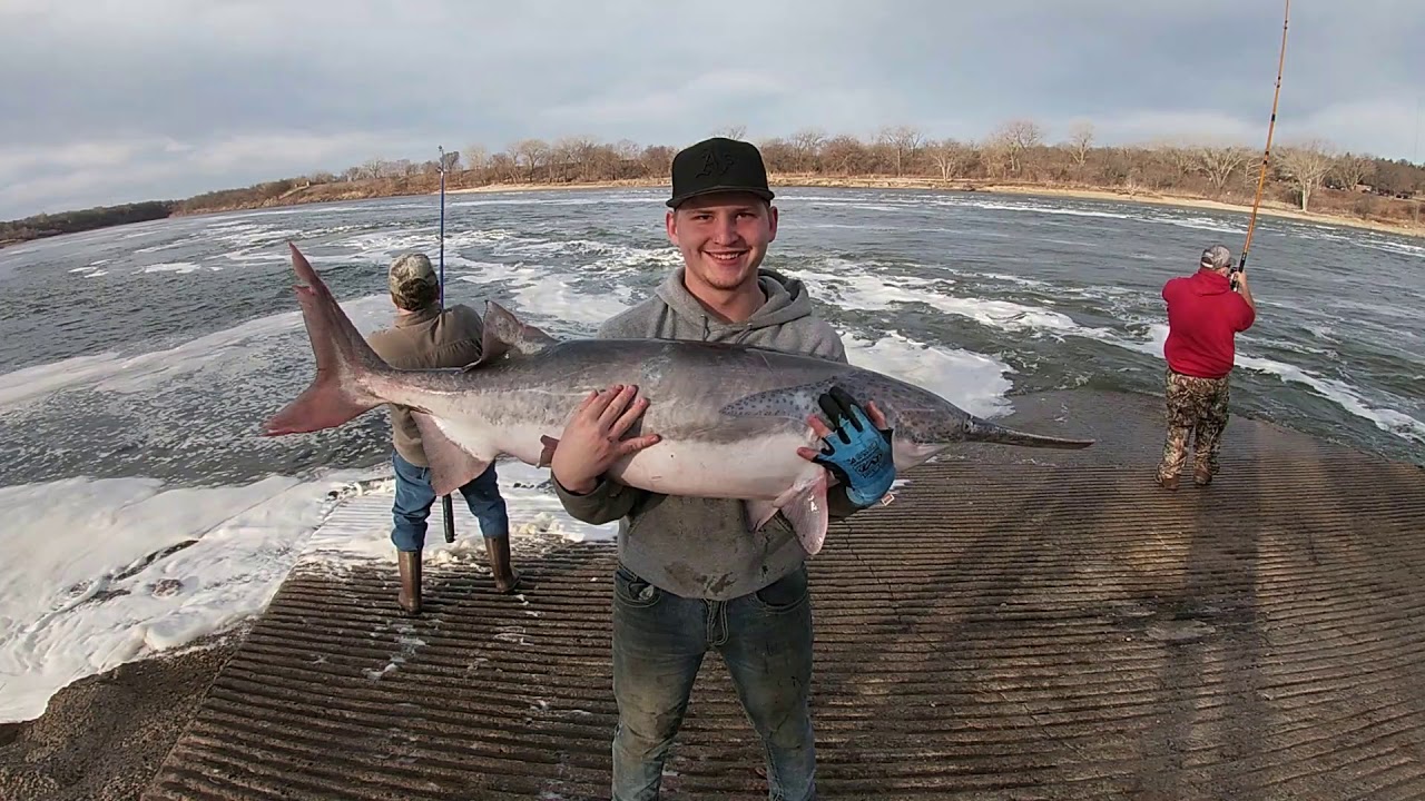 SPOONBILL SNAGGING SEASON KAW DAM 2020