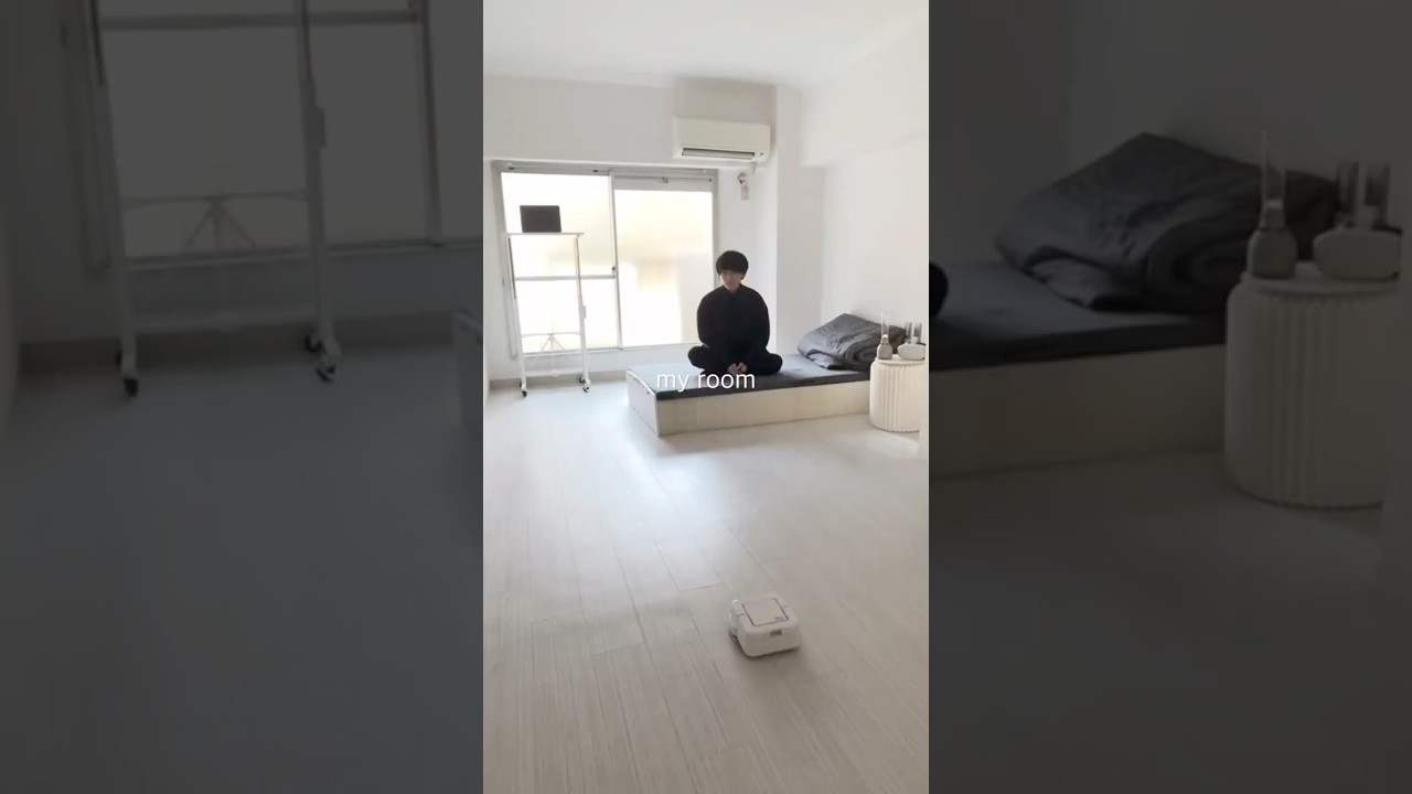 EXTREME Minimalist's Room in Japan