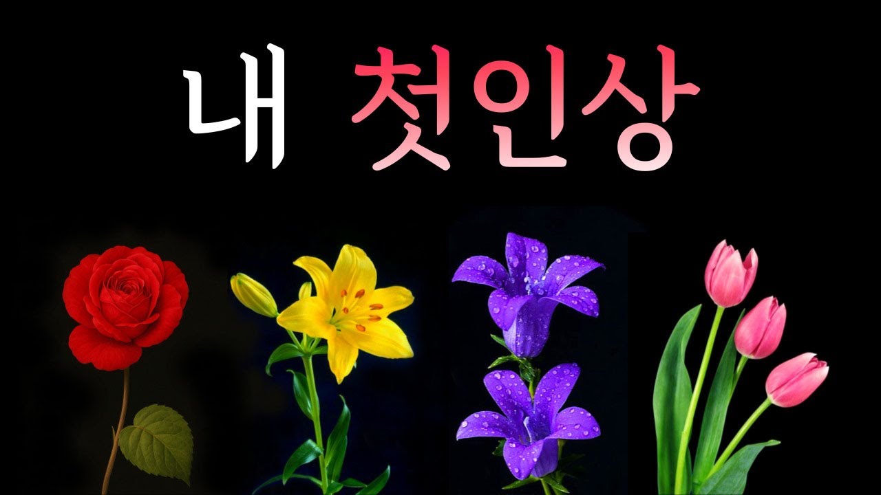 [타로] 이성들이 보는 내 첫인상