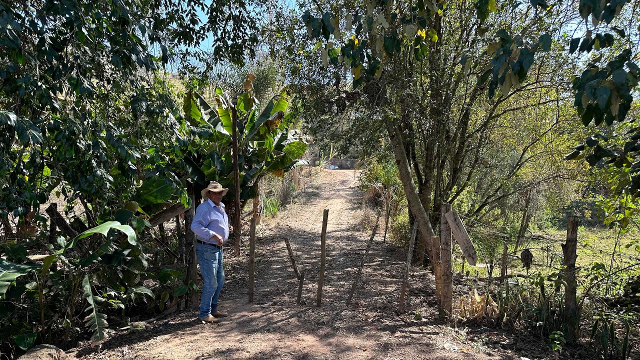 Chácara de 3.200 m2 à Venda em Senador José Bento em Minas Gerais.