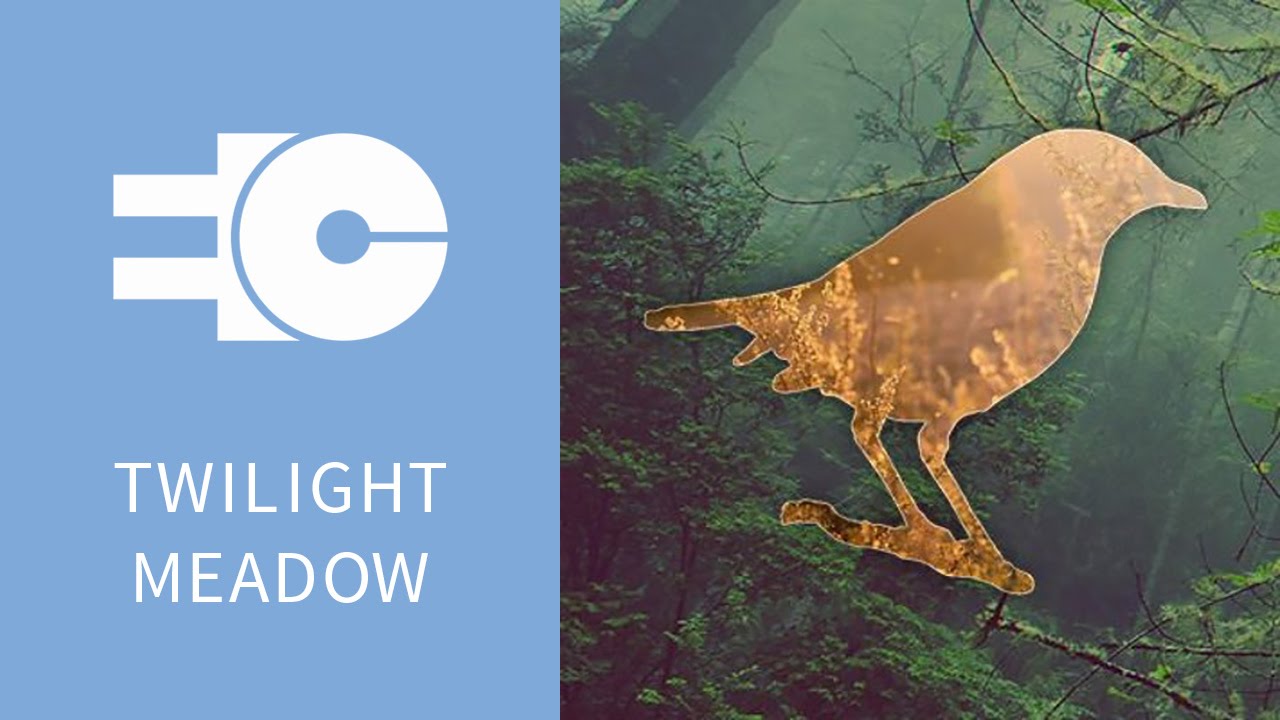 TWILIGHT MEADOW | The Worlds We Discovered |