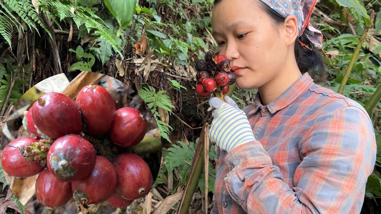 (Часть 1) | Цао ко &ndash; драгоценные специи и травы из джунглей.