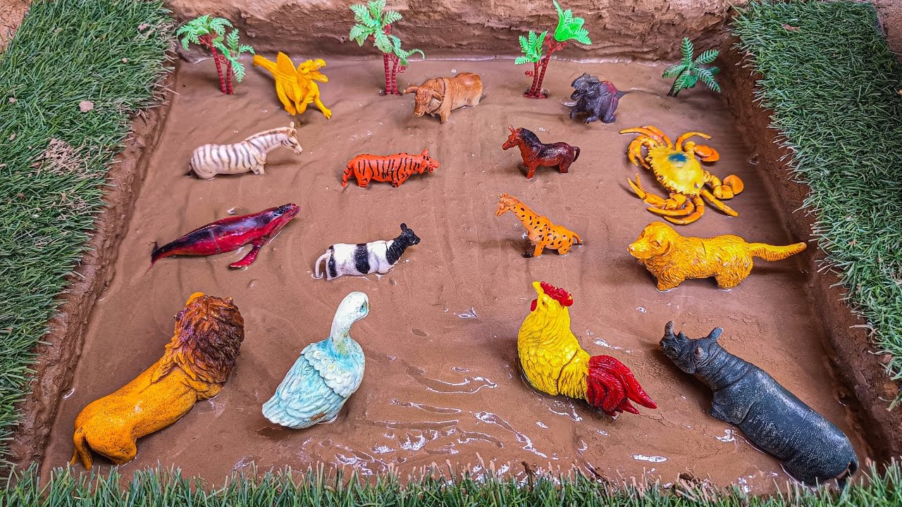 Cleaning toy animal dinosaur, horse, rhino, giraffe, lion, hen, duck, crab, buffalo, zebra, dog
