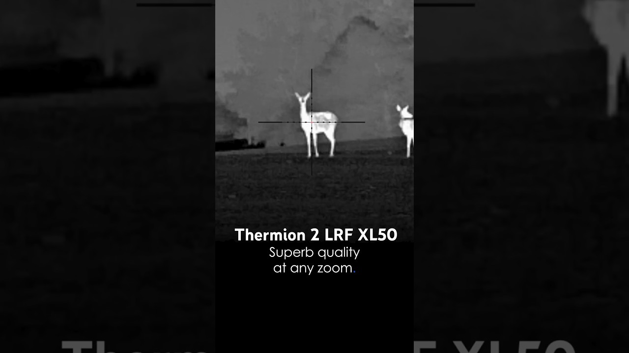 Pulsar Thermion 2 LRF XL50 | Thermal Imaging Riflescope | Hunting in HD #pulsarvision