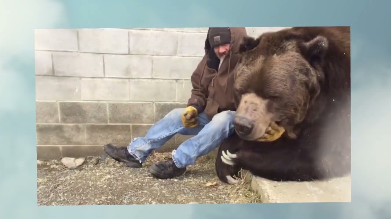 On the anniversary of Jimbo’s death, I wanted to repost a tribute I made for him. Forever missed. 💔