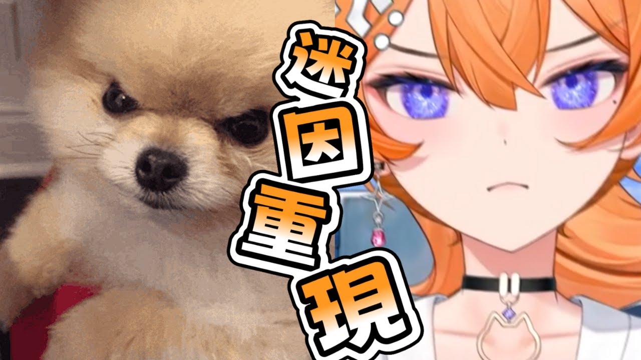 《橙Yuzumi精華》租咪2.0精華!! 完美重現Madge狗狗?!