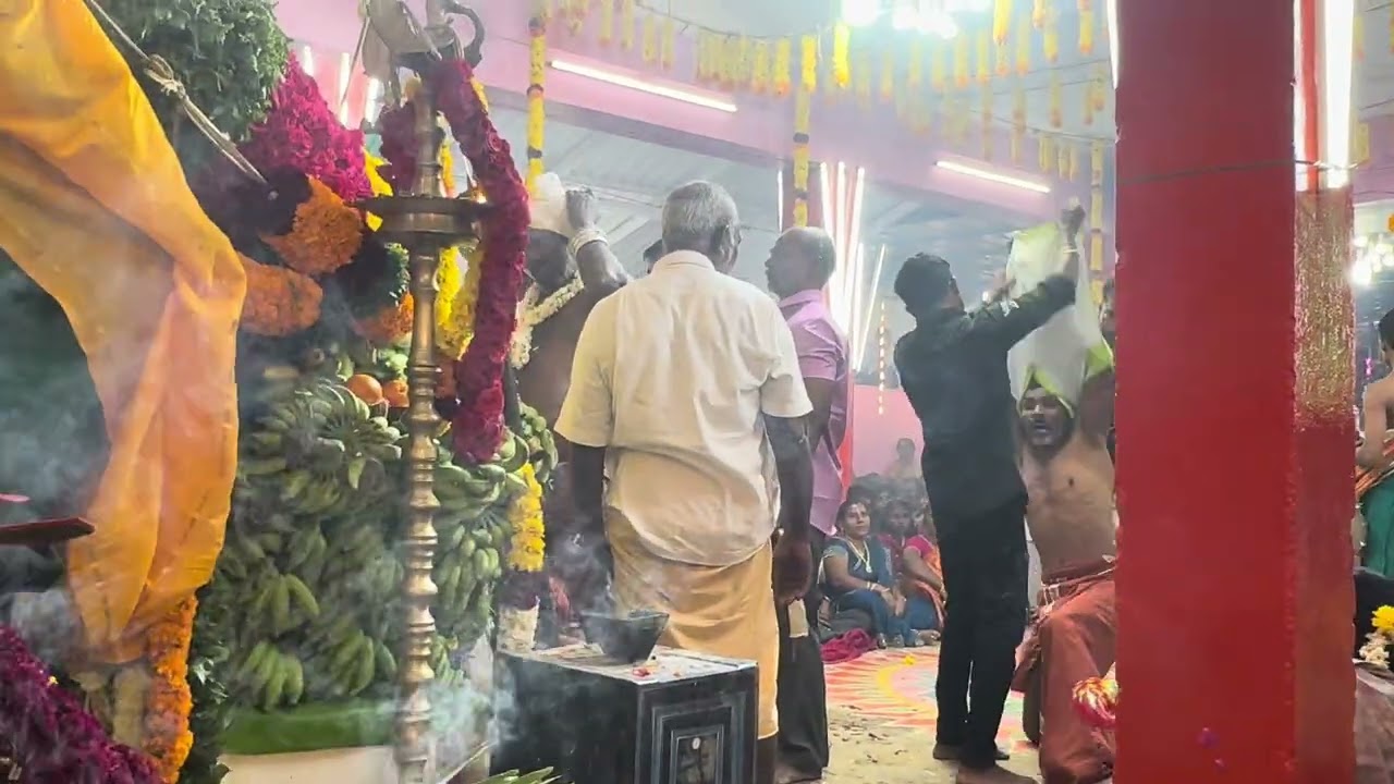 AVARAIKULAM சுடலைமாடசாமி🙏🙏🙏கோயில்கொடை(2026)#குருசாமி#avaraikulam#சிவராத்திரி#lathavillisai#jkmuthu