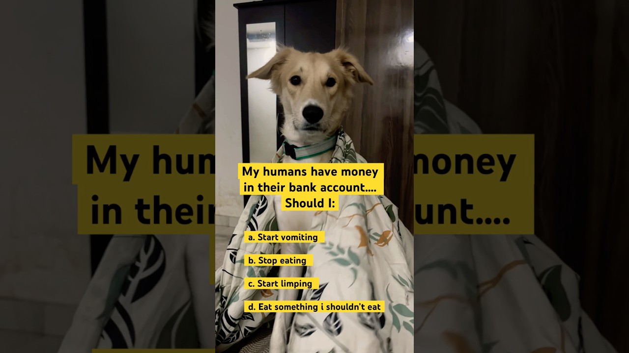 #shortsfeed