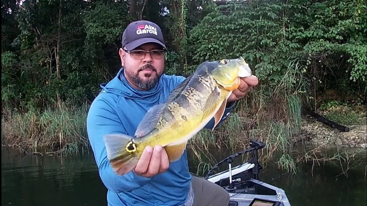 Una pesca mañanera en estos días navideños! Lago Guajataca