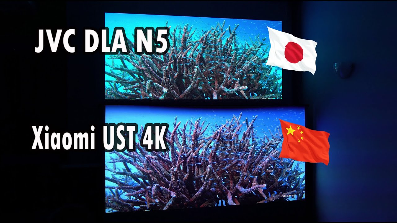 Japan VS China | and the winner is...