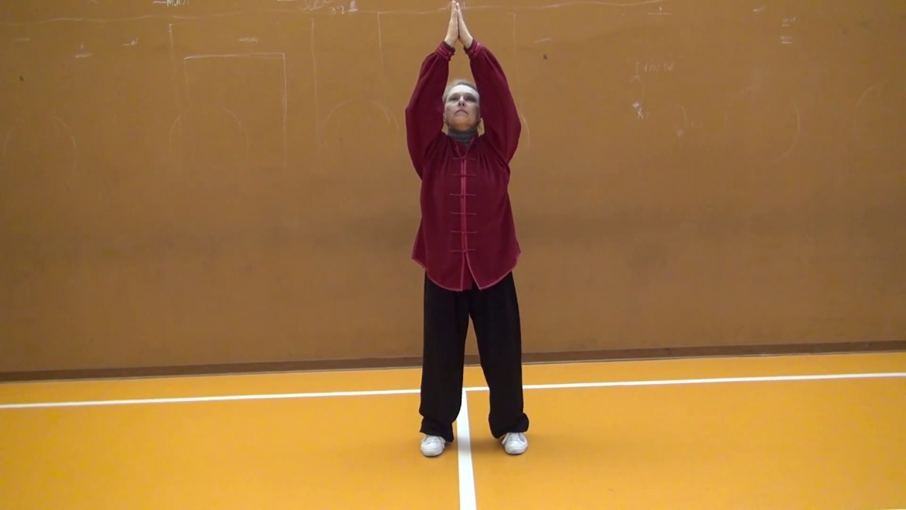 Corsi di Qi Gong a Roma: Il Qi Gong dei Cinque Elementi