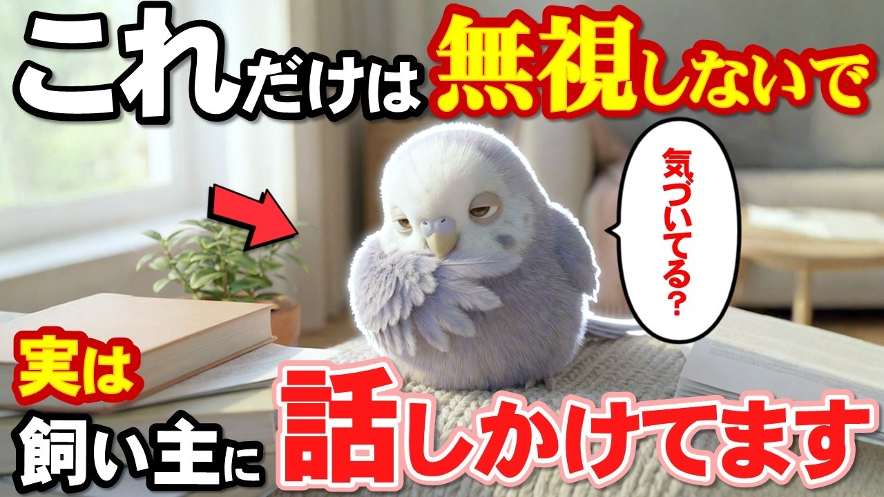 実は飼い主に一生懸命に話しかけている時の５つの仕草【インコのきもち】