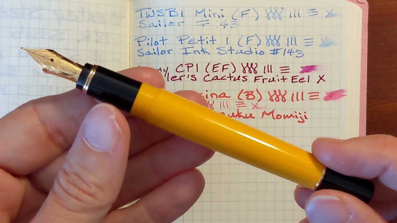 Currently Inked Pens and My New Pilot Lucina
