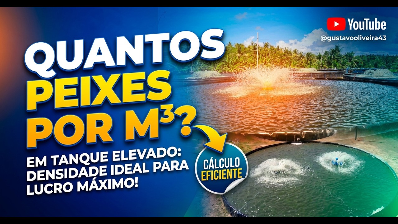 PISCICULTURA 497: Quantos peixes colocar por m&sup3; em tanque elevado?