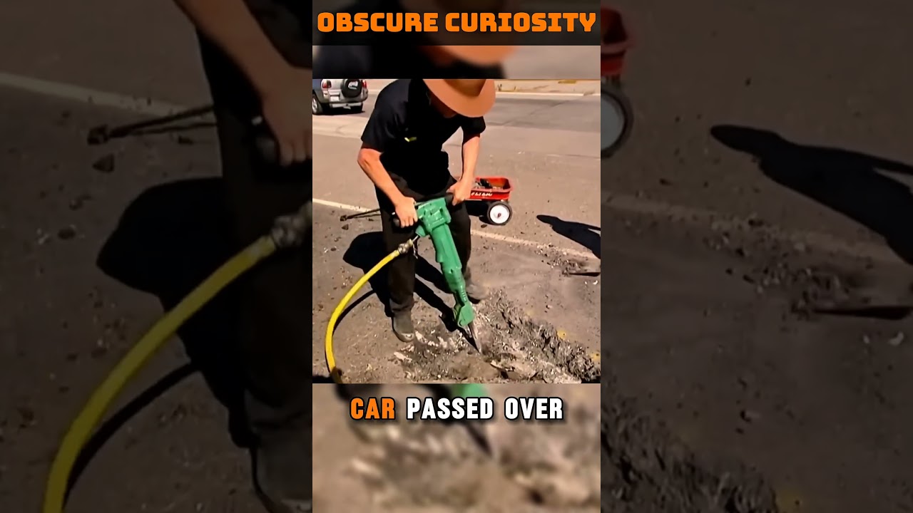 they wanted to test if the car would fly #curious #curiosity #cars