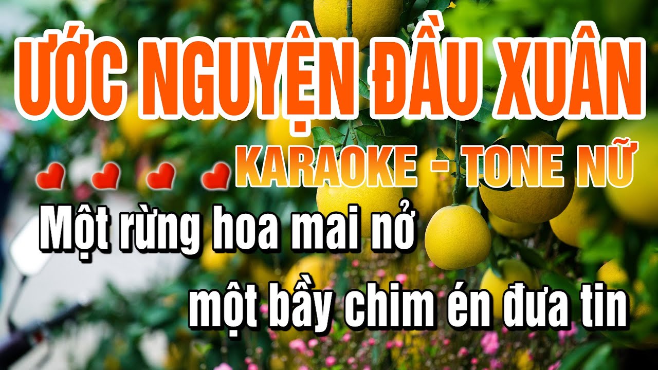 Ước Nguyện Đầu Xuân Tone Nữ Karaoke - Nhạc Tết 2026 | Làng Hoa Karaoke