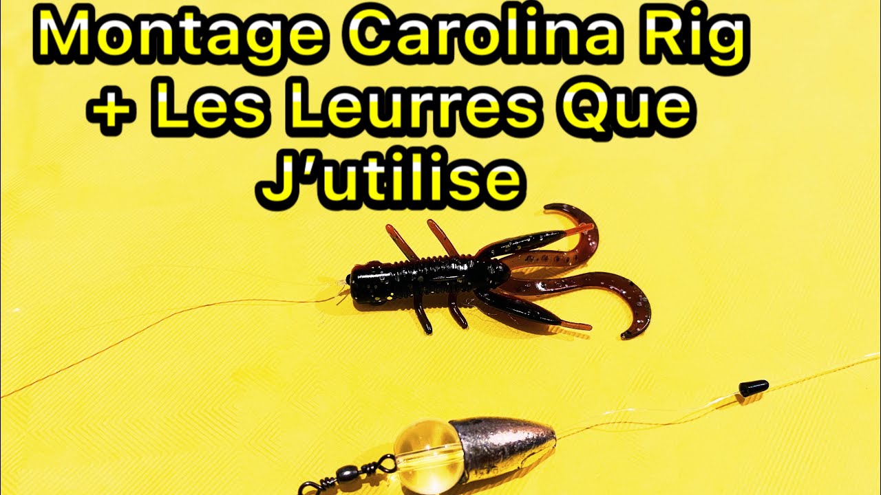 Tuto montage carolina rig pour la perche