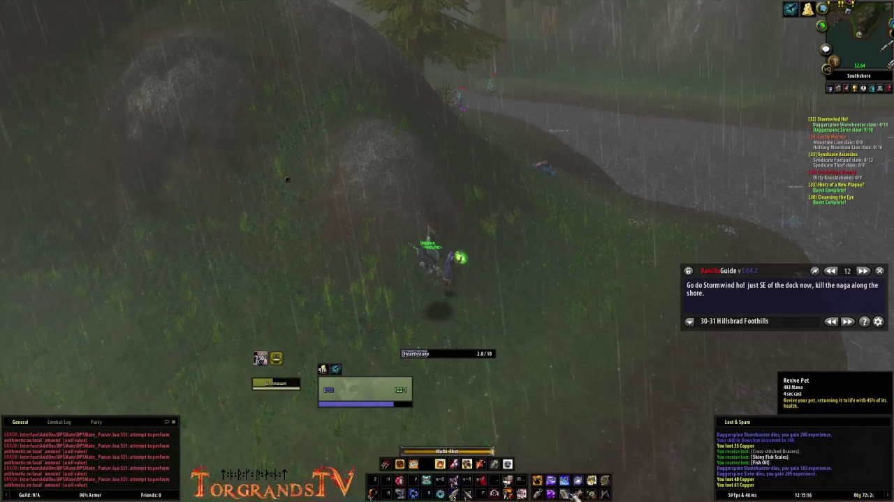 Thorgrand - Northdale WoW Classic - Hunter 30 lvl | Chillout leveling