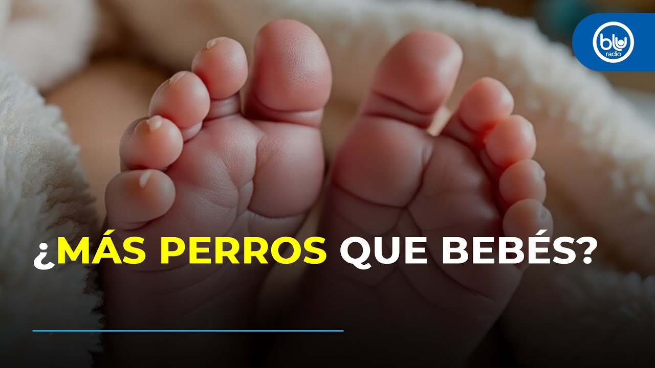 ¿Por qué los colombianos ya no quieren tener hijos? Debate por cifras del DANE