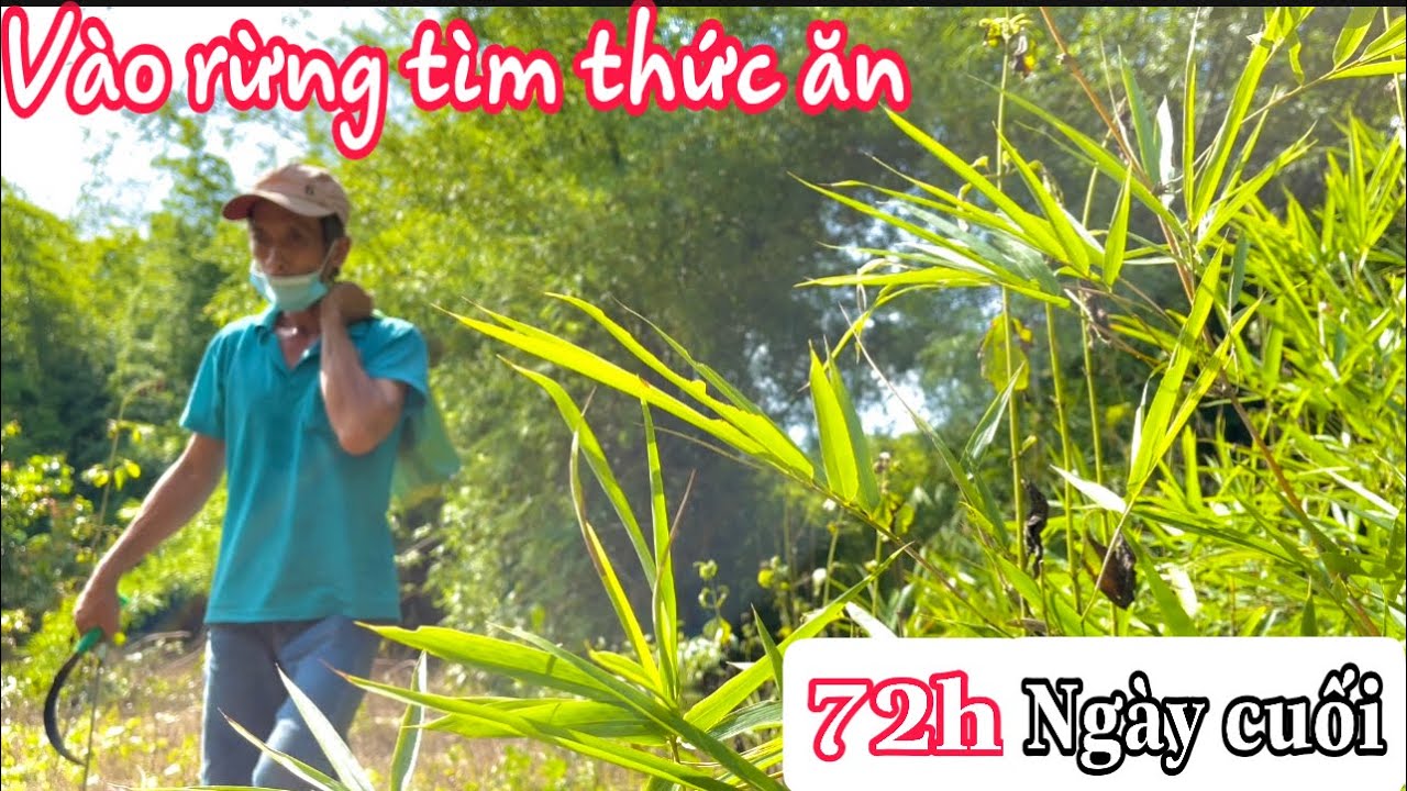 Vào Rừng tự tìm Thức Ăn đầy gian nan-kết thúc chuyến Sinh Tồn 72h |Thuận Gòm TV