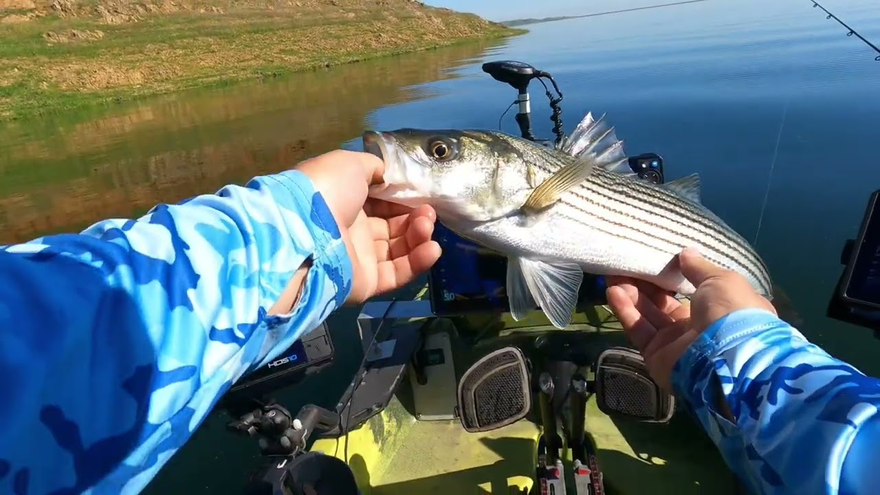 Fluke Strolling for Stripers San Luis Reservoir 